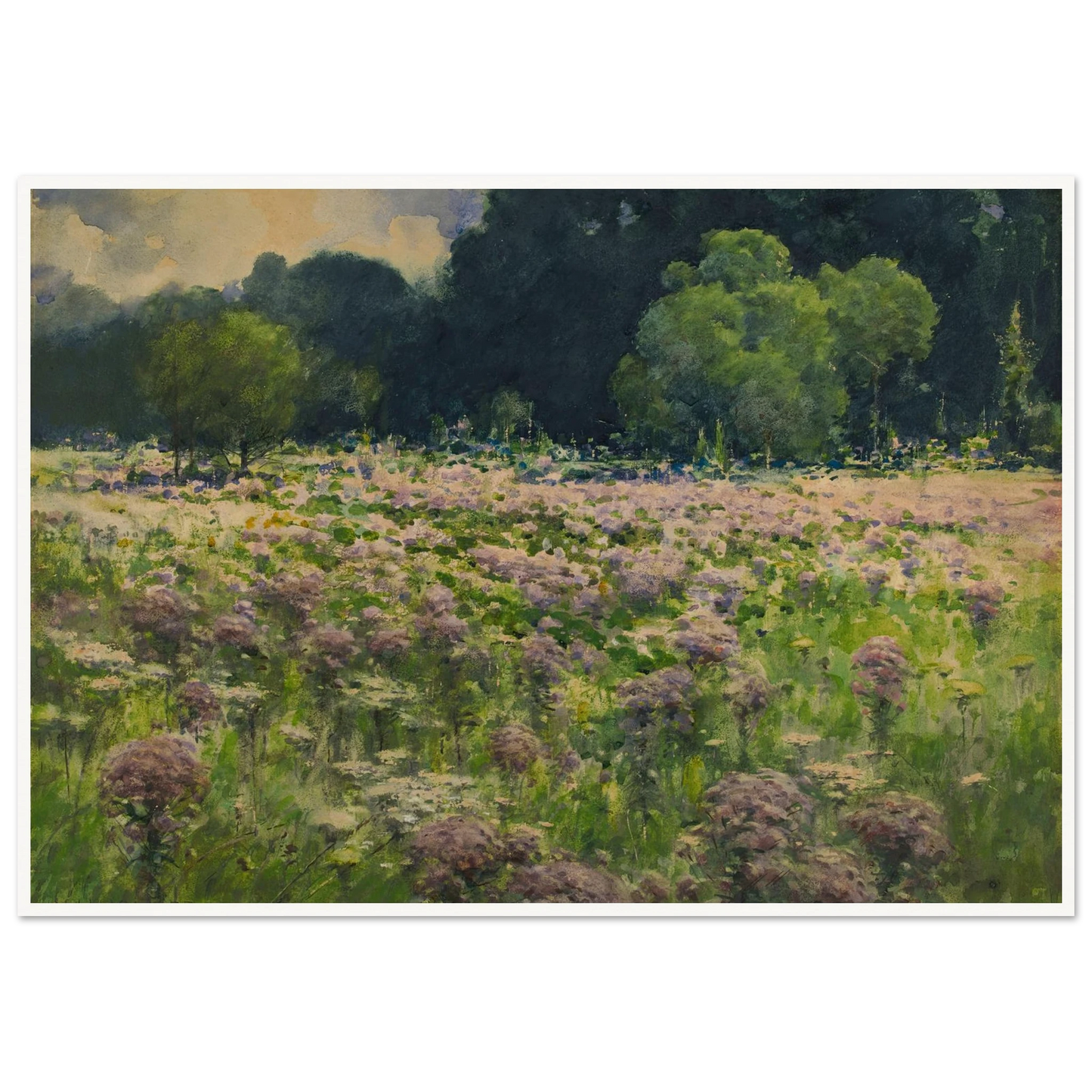 Field Of Joe Pie Weeds (Pride Of The Meadow) Art Print | William Henry Holmes - Framed Poster - 30x40 cm / 12x16″ - Black frame