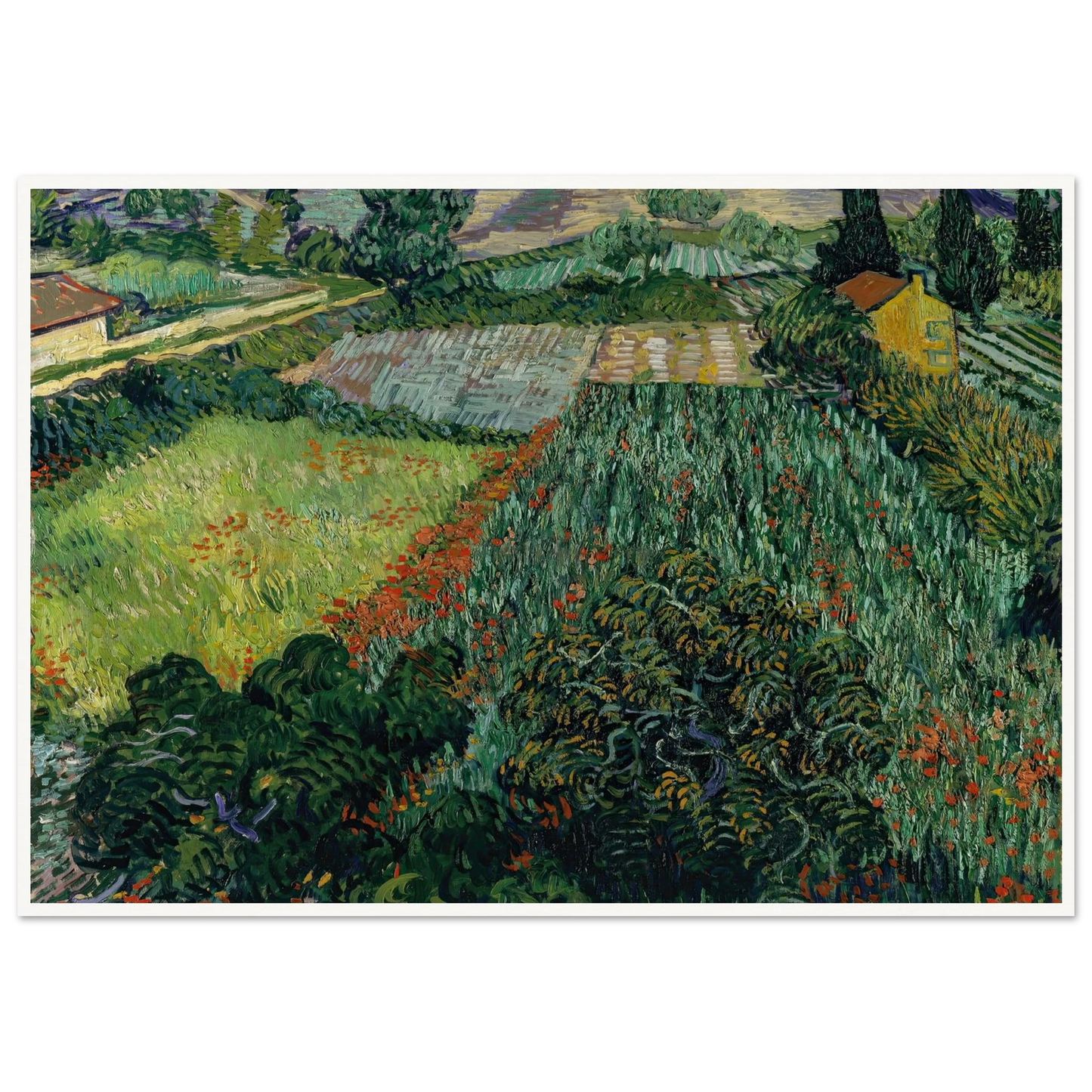 Field with Poppies (1889) Art Print | Vincent van Gogh - Framed Poster - 30x40 cm / 12x16″ - Black frame