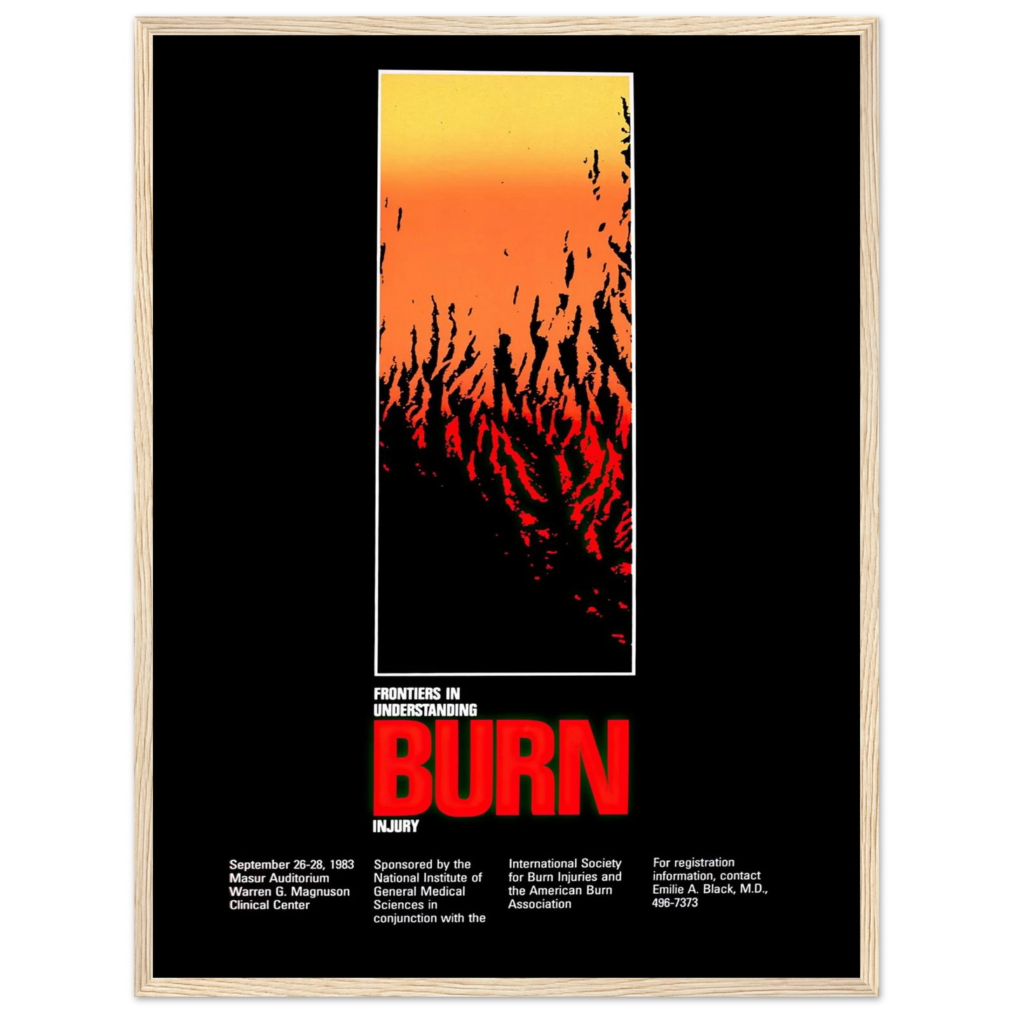 Frontiers in understanding burn injury (1983) Art Print | National Institutes of Health - Framed Poster - 30x40 cm / 12x16″ - Black frame