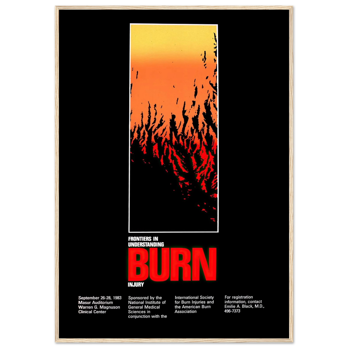 Frontiers in understanding burn injury (1983) Art Print | National Institutes of Health - Framed Poster - 30x40 cm / 12x16″ - Black frame