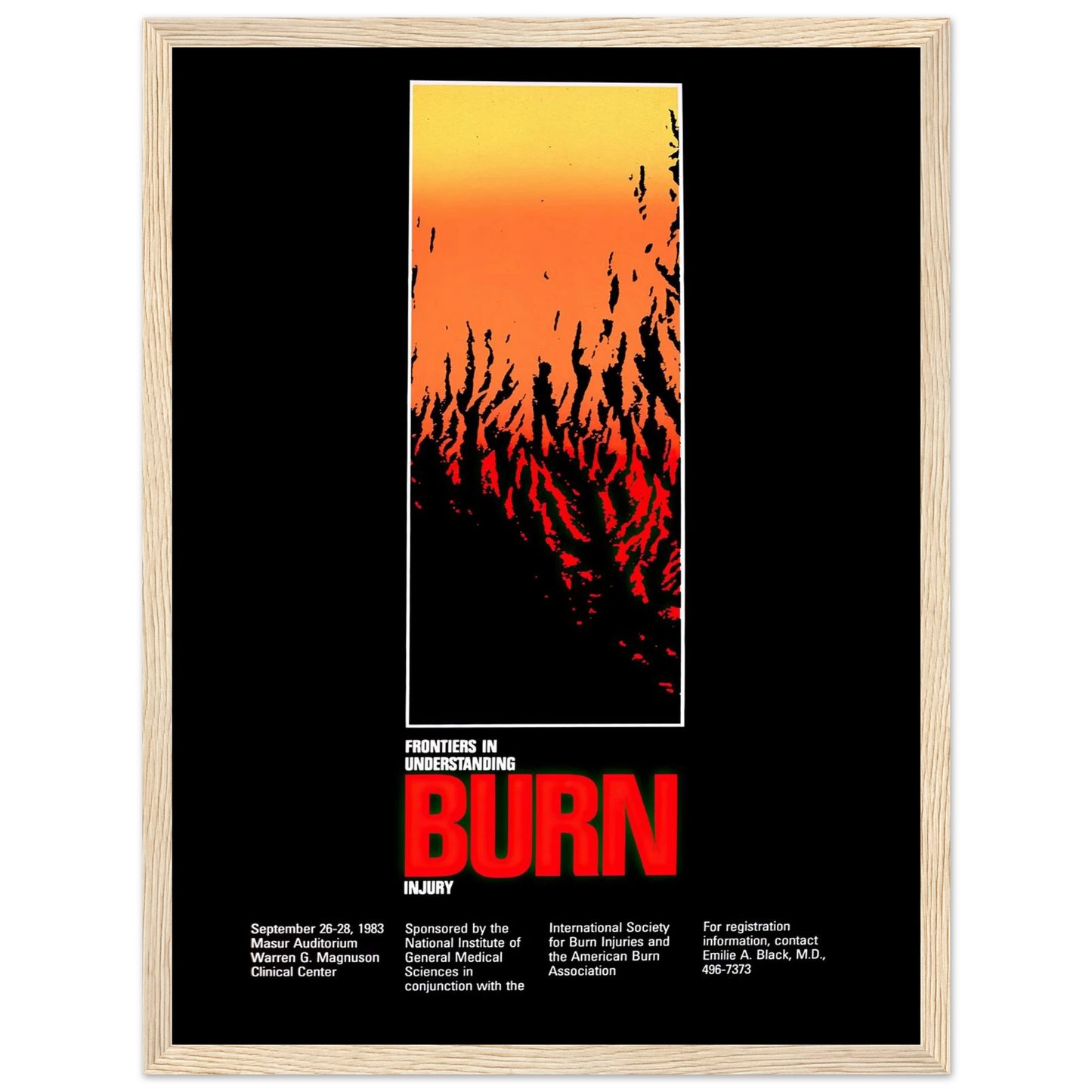 Frontiers in understanding burn injury (1983) Art Print | National Institutes of Health - Framed Poster - 30x40 cm / 12x16″ - Black frame
