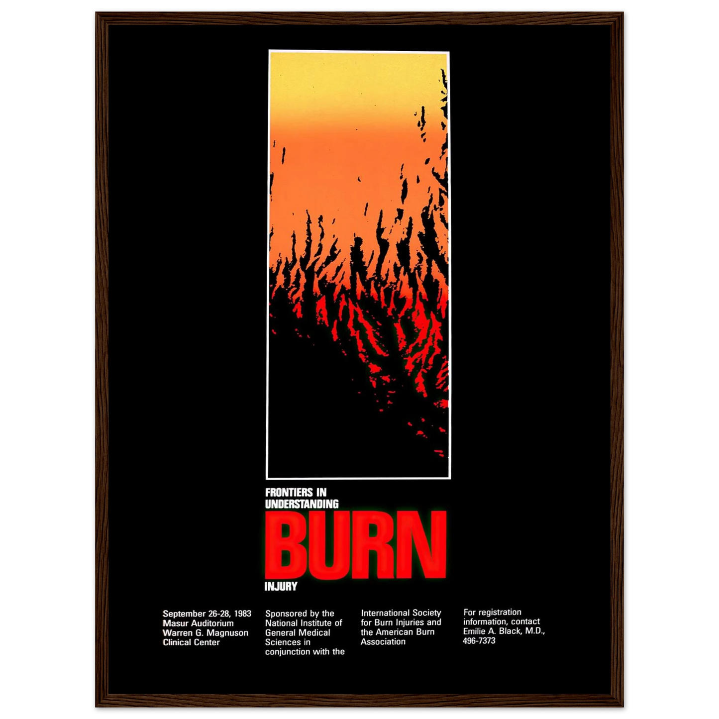 Frontiers in understanding burn injury (1983) Art Print | National Institutes of Health - Framed Poster - 30x40 cm / 12x16″ - Black frame