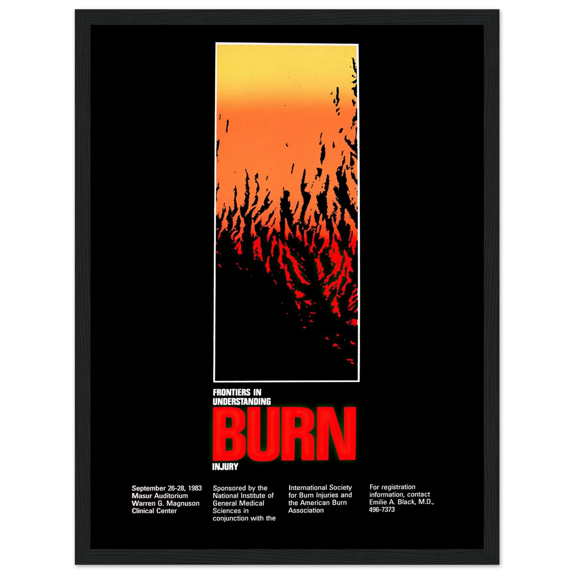 Frontiers in understanding burn injury (1983) Art Print | National Institutes of Health - Framed Poster - 30x40 cm / 12x16″ - Black frame