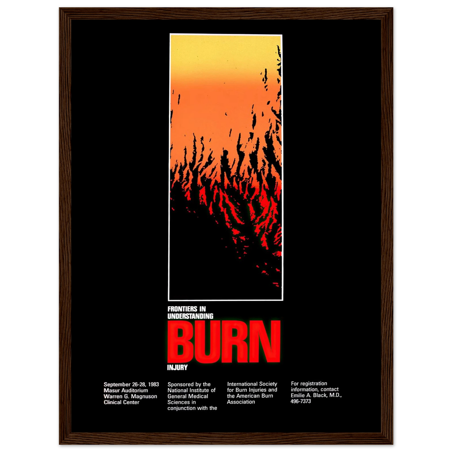 Frontiers in understanding burn injury (1983) Art Print | National Institutes of Health - Framed Poster - 30x40 cm / 12x16″ - Black frame