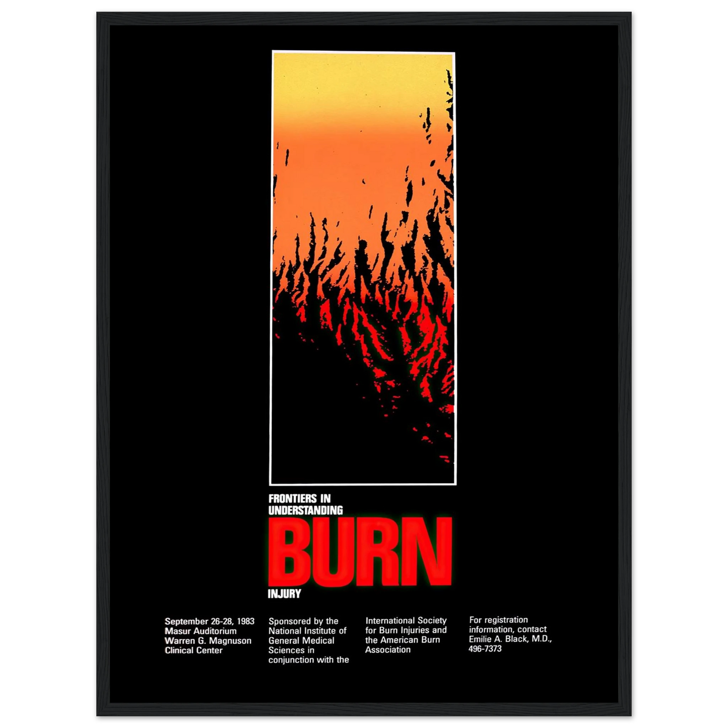Frontiers in understanding burn injury (1983) Art Print | National Institutes of Health - Framed Poster - 30x40 cm / 12x16″ - Black frame