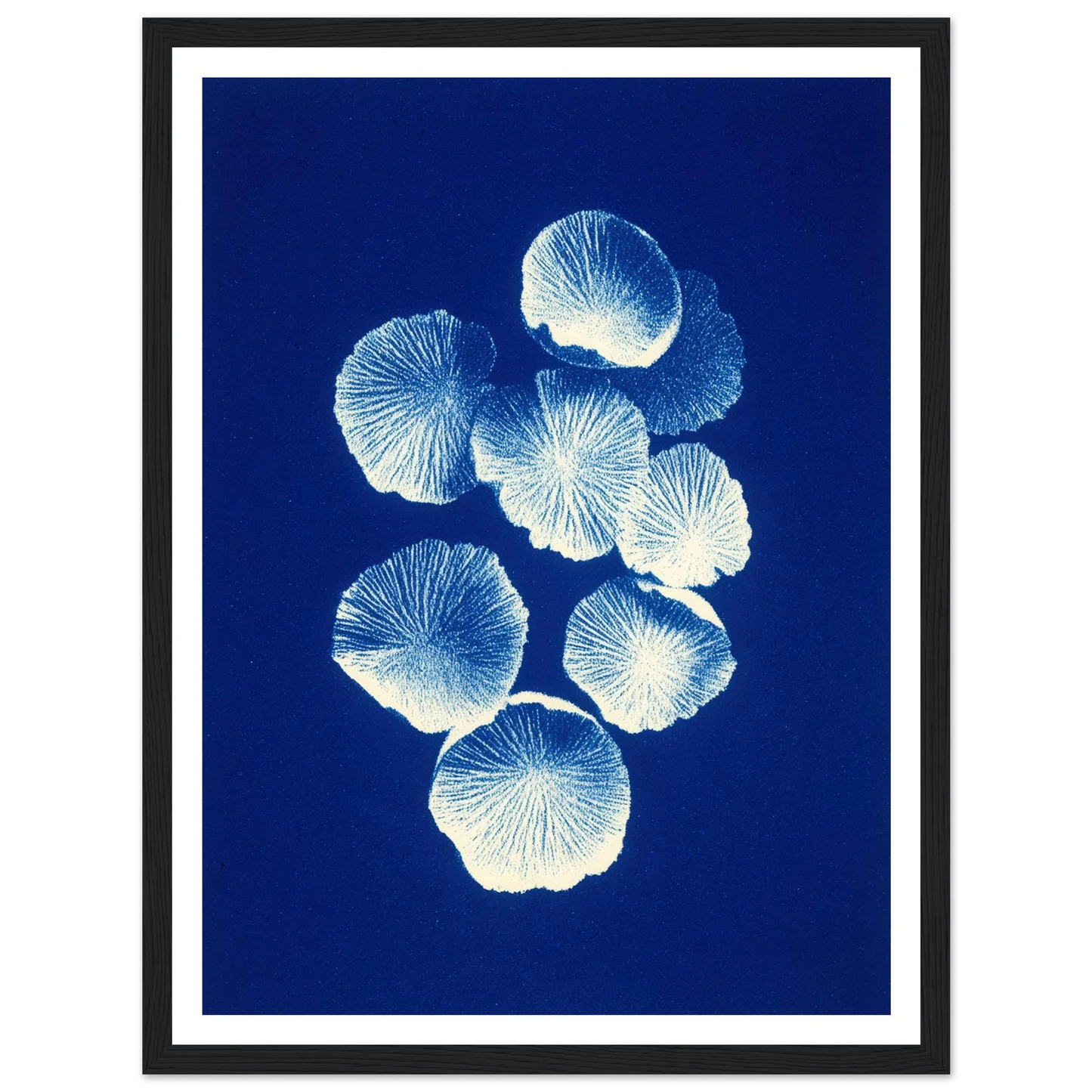 Fungal Pattern - Framed Poster - 30x40 cm / 12x16″ - Black frame