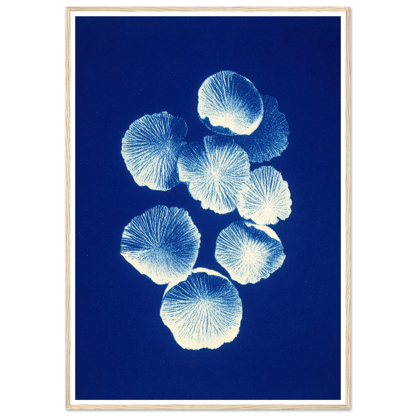 Fungal Pattern - Framed Poster - 30x40 cm / 12x16″ - Black frame