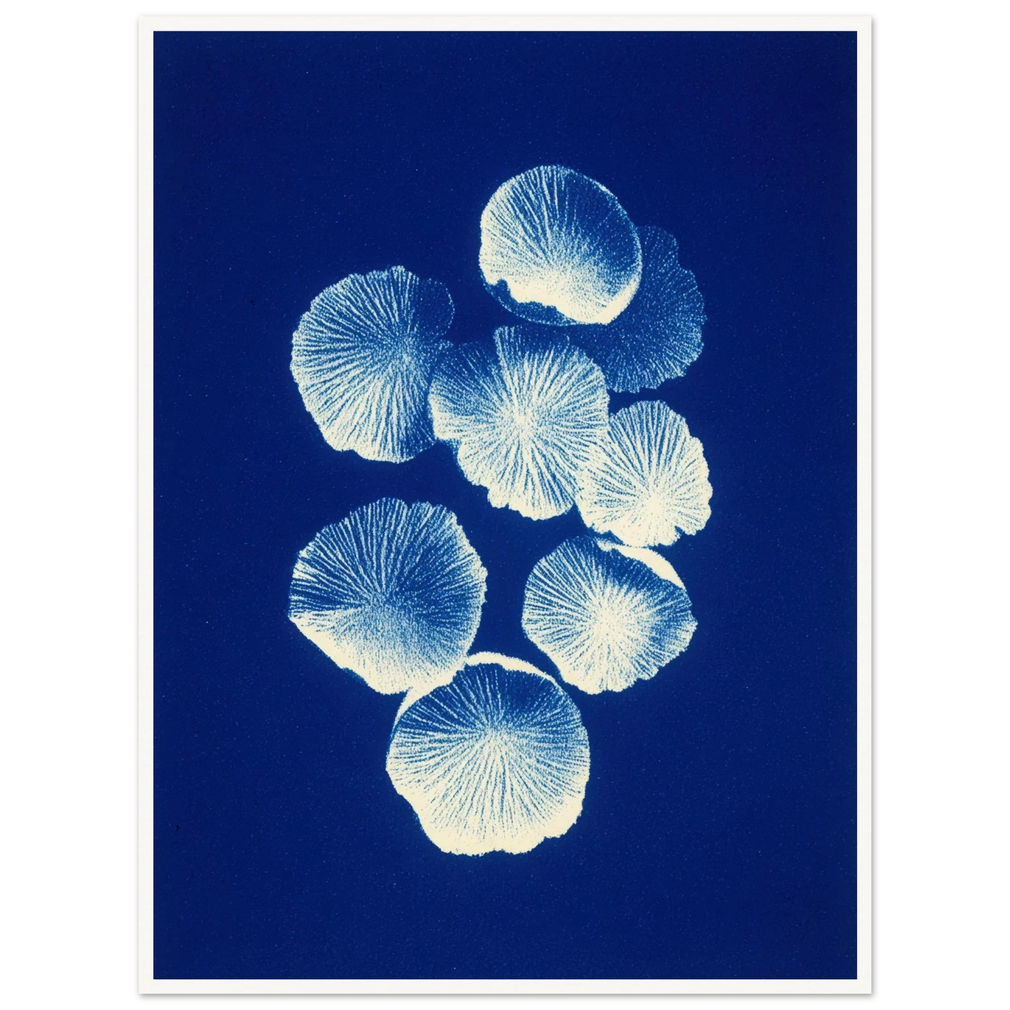 Fungal Pattern - Framed Poster - 30x40 cm / 12x16″ - Black frame