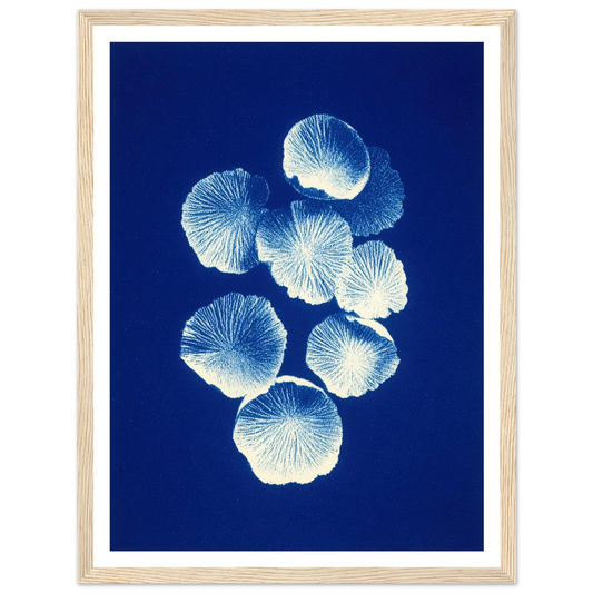 Fungal Pattern - Framed Poster - 30x40 cm / 12x16″ - Black frame