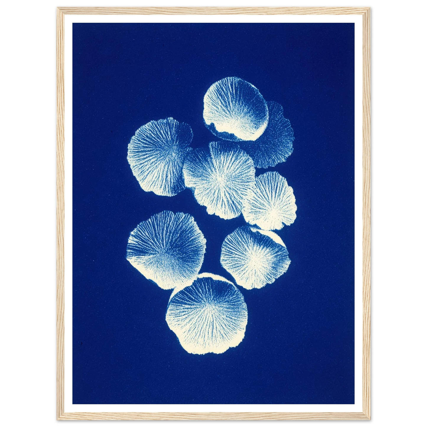 Fungal Pattern - Framed Poster - 30x40 cm / 12x16″ - Black frame