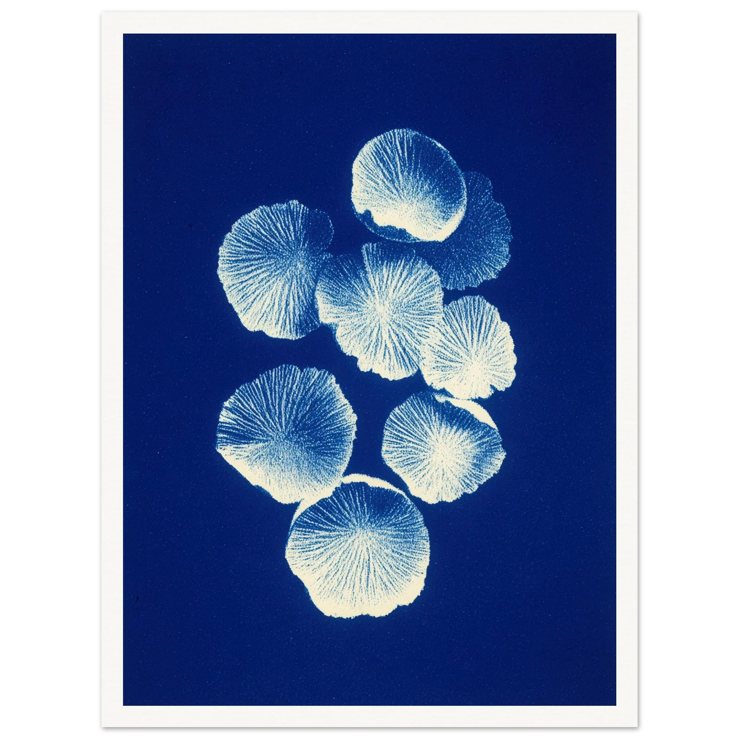 Fungal Pattern - Framed Poster - 30x40 cm / 12x16″ - Black frame