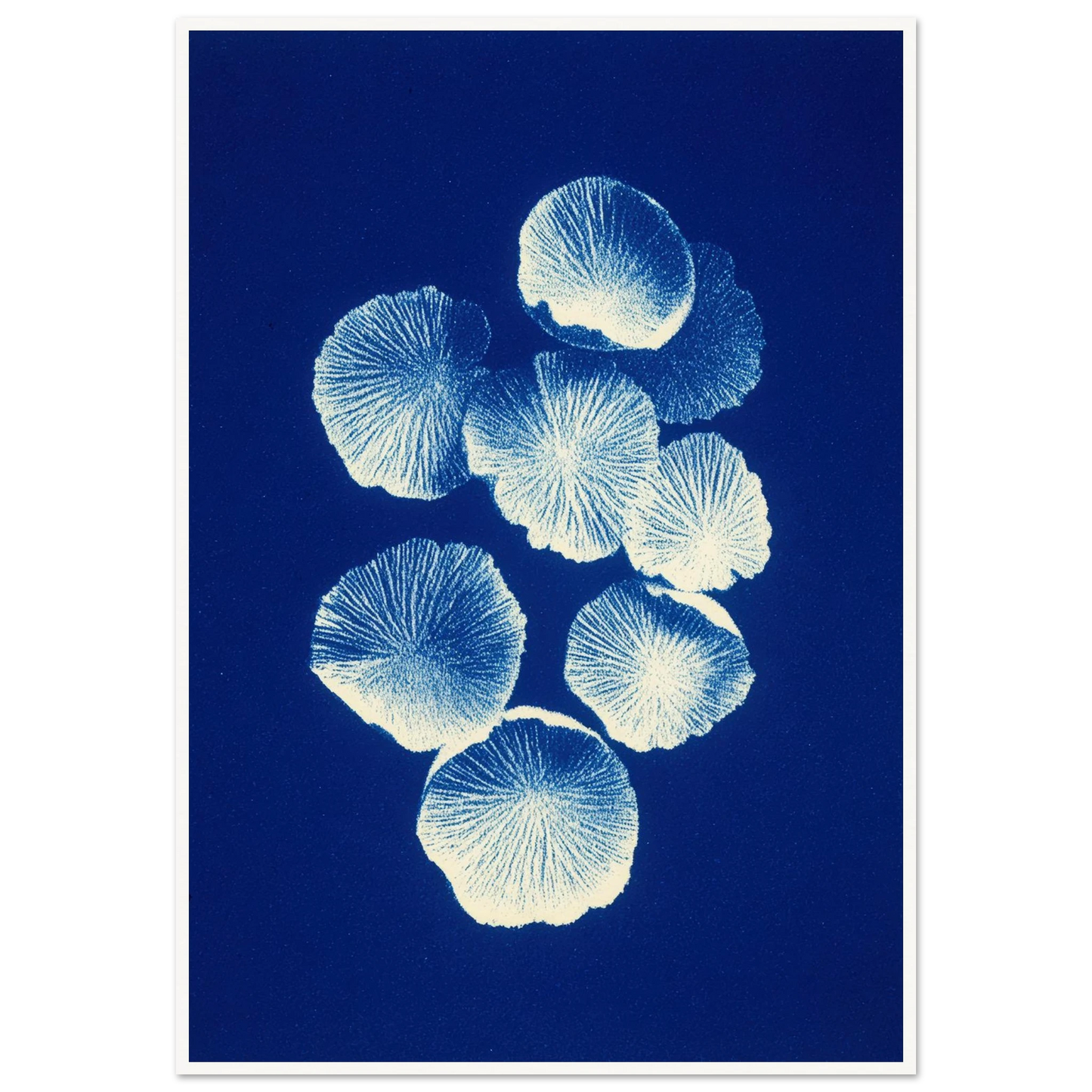 Fungal Pattern - Framed Poster - 30x40 cm / 12x16″ - Black frame