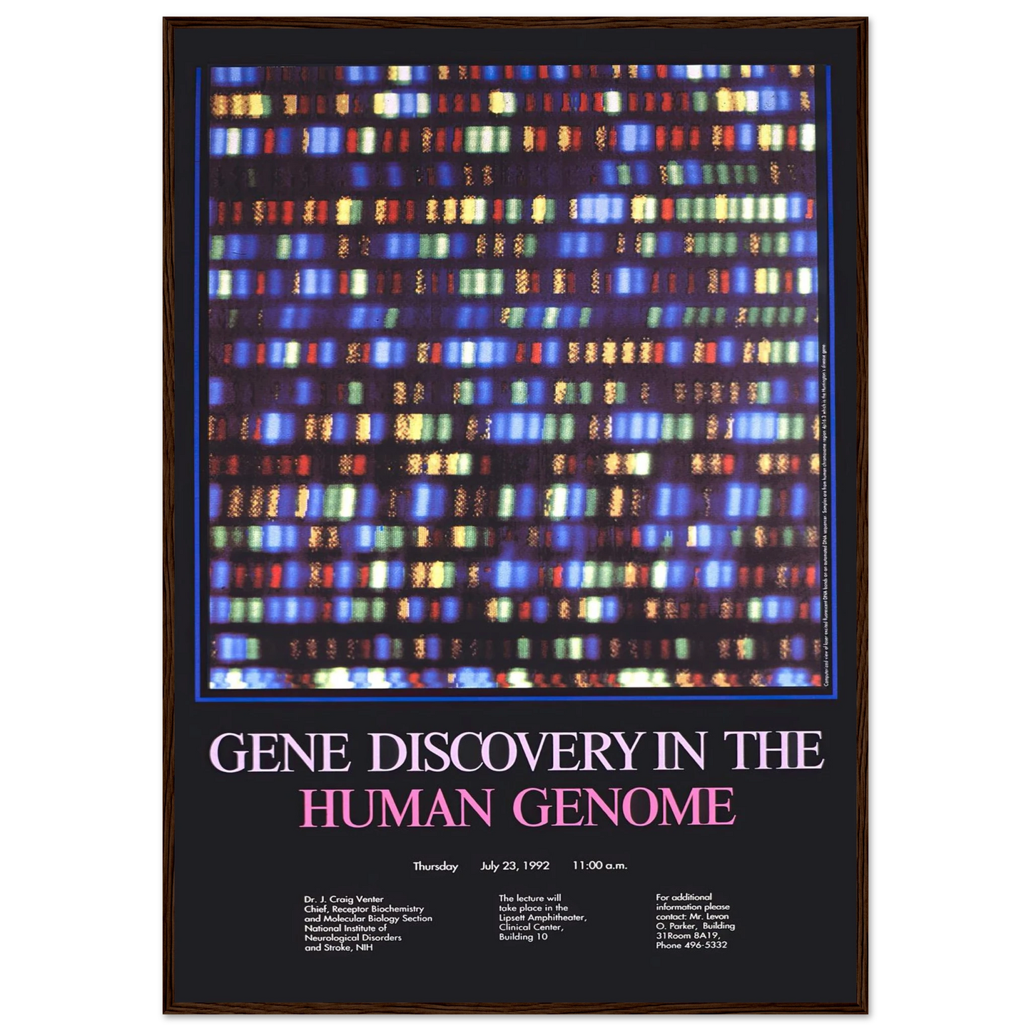 Gene discovery in the human genome (1992) Art Print | National Institutes of Health - Framed Poster - 30x40 cm / 12x16″ - Black frame