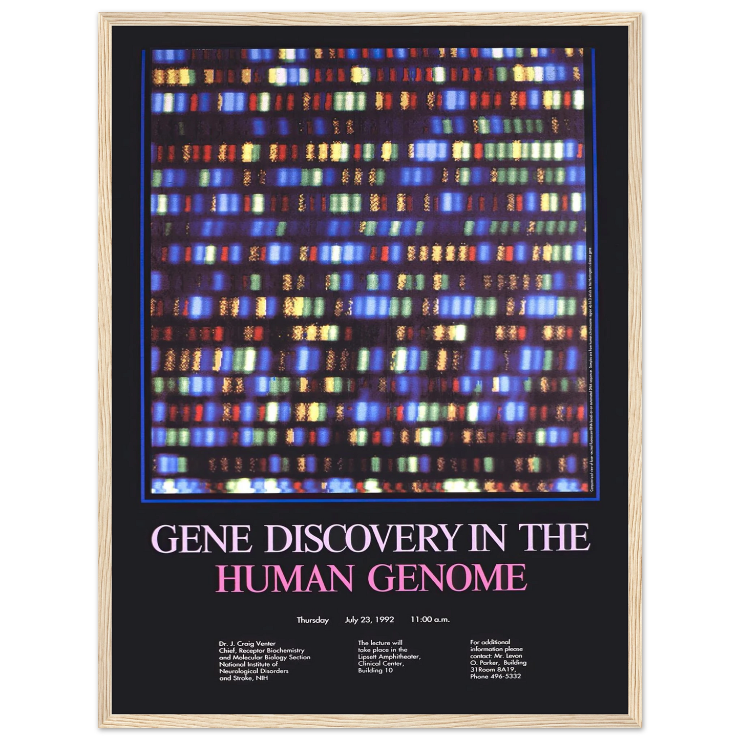Gene discovery in the human genome (1992) Art Print | National Institutes of Health - Framed Poster - 30x40 cm / 12x16″ - Black frame