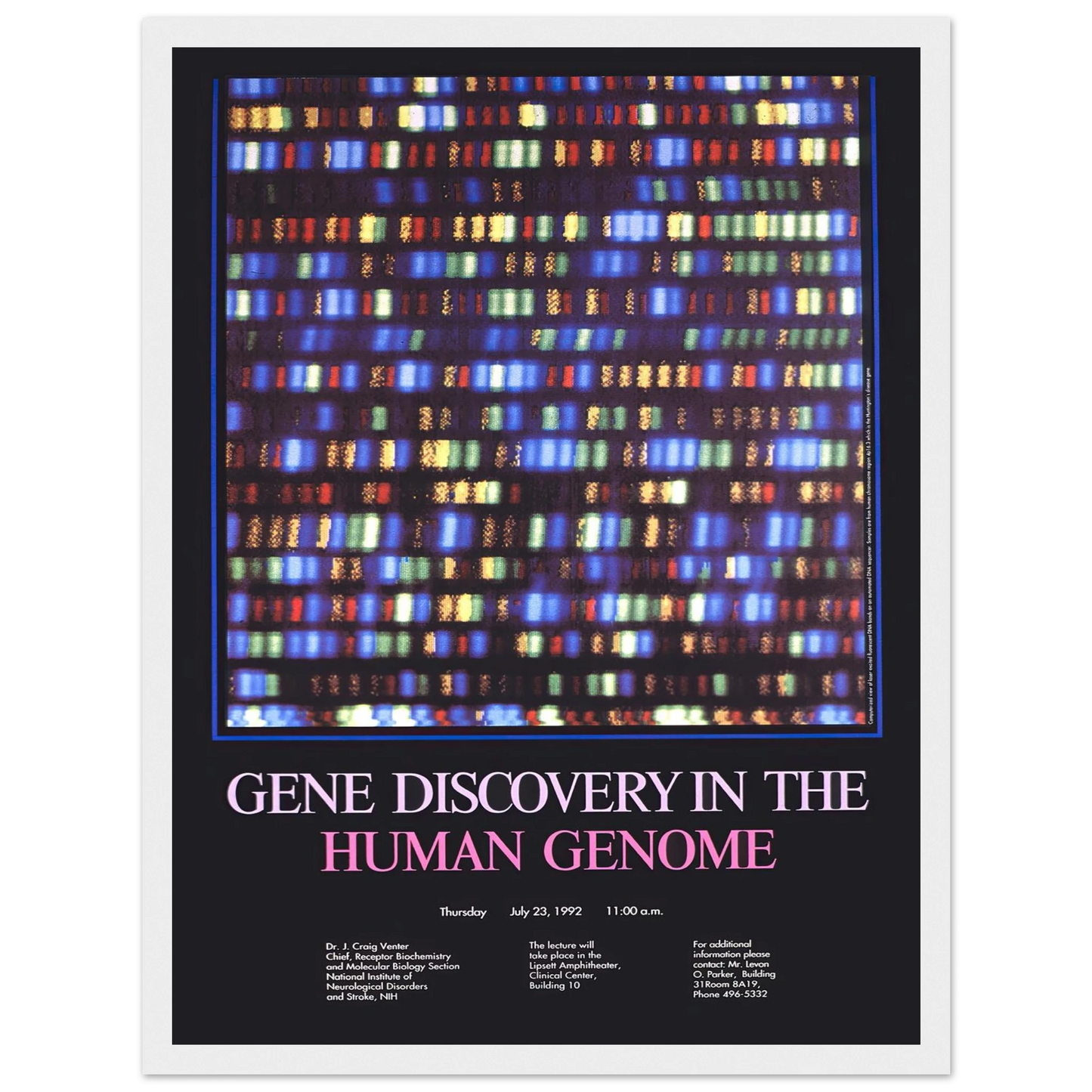 Gene discovery in the human genome (1992) Art Print | National Institutes of Health - Framed Poster - 30x40 cm / 12x16″ - Black frame
