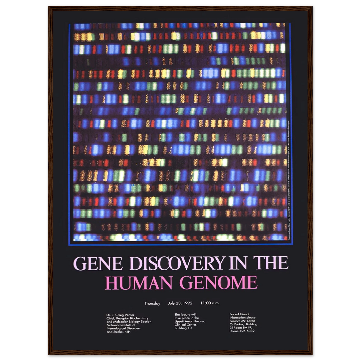 Gene discovery in the human genome (1992) Art Print | National Institutes of Health - Framed Poster - 30x40 cm / 12x16″ - Black frame