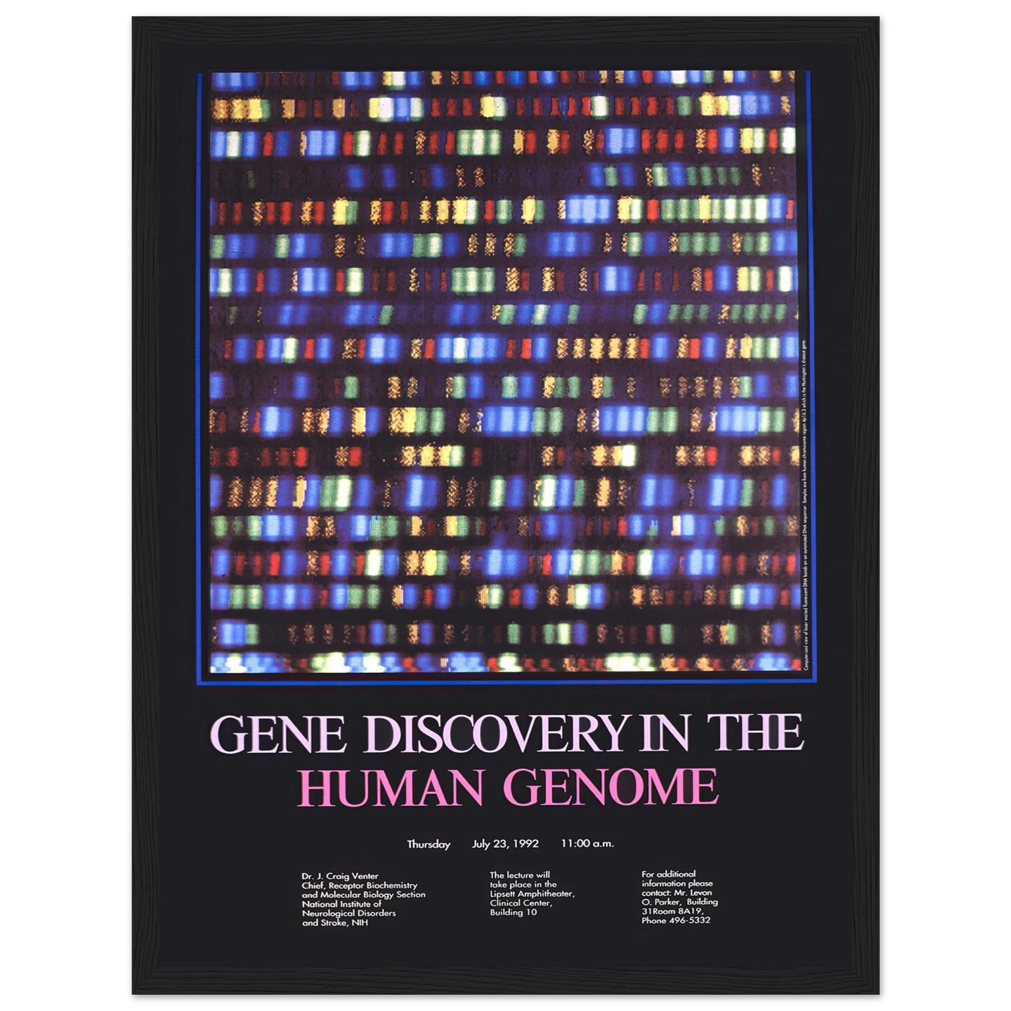 Gene discovery in the human genome (1992) Art Print | National Institutes of Health - Framed Poster - 30x40 cm / 12x16″ - Black frame