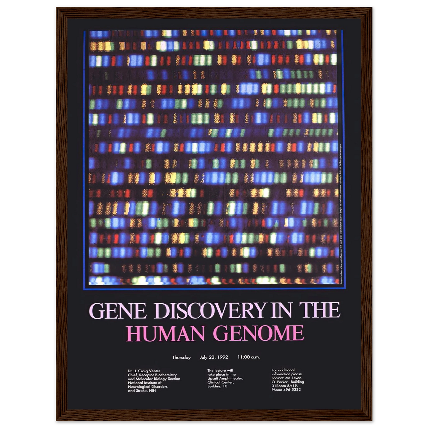 Gene discovery in the human genome (1992) Art Print | National Institutes of Health - Framed Poster - 30x40 cm / 12x16″ - Black frame
