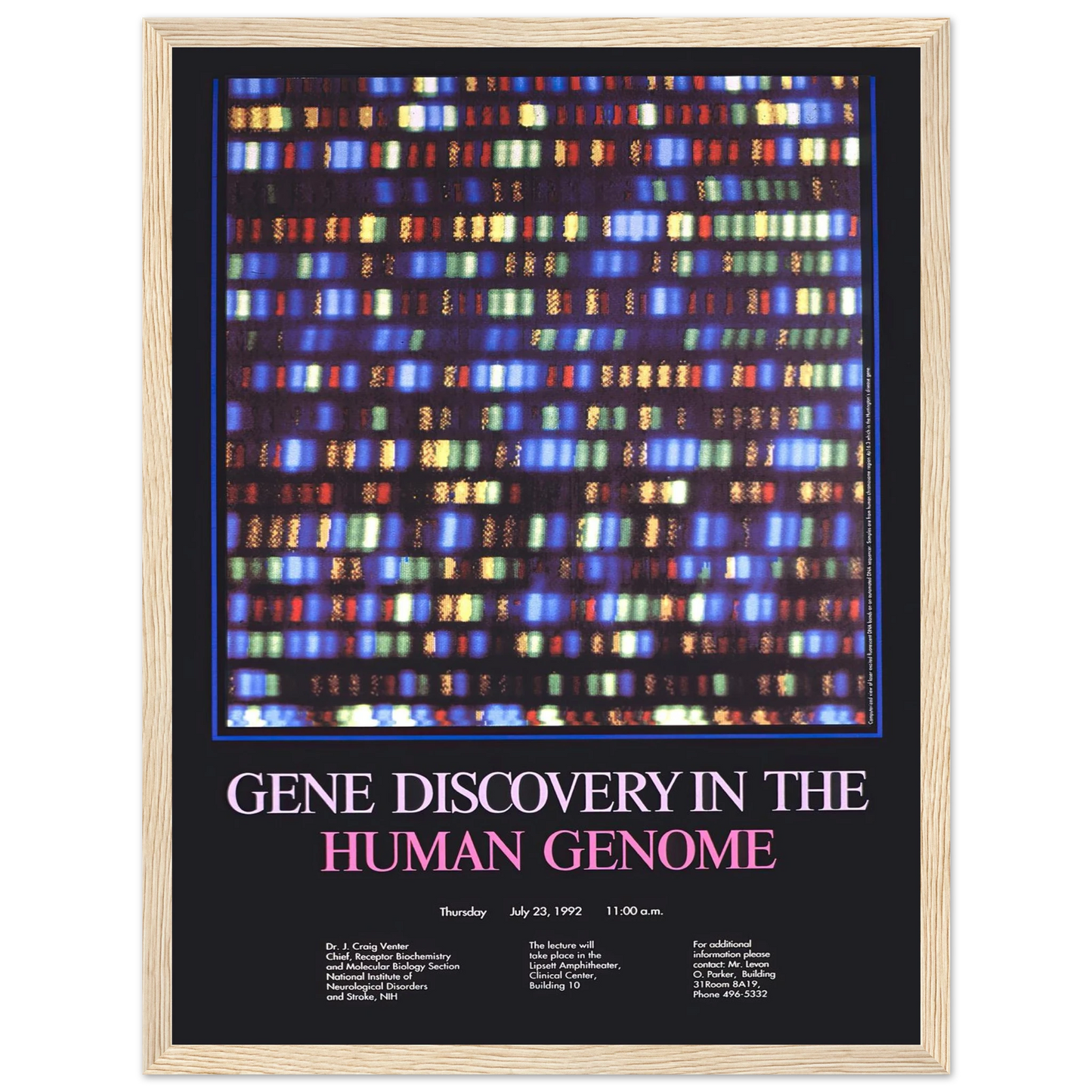 Gene discovery in the human genome (1992) Art Print | National Institutes of Health - Framed Poster - 30x40 cm / 12x16″ - Black frame