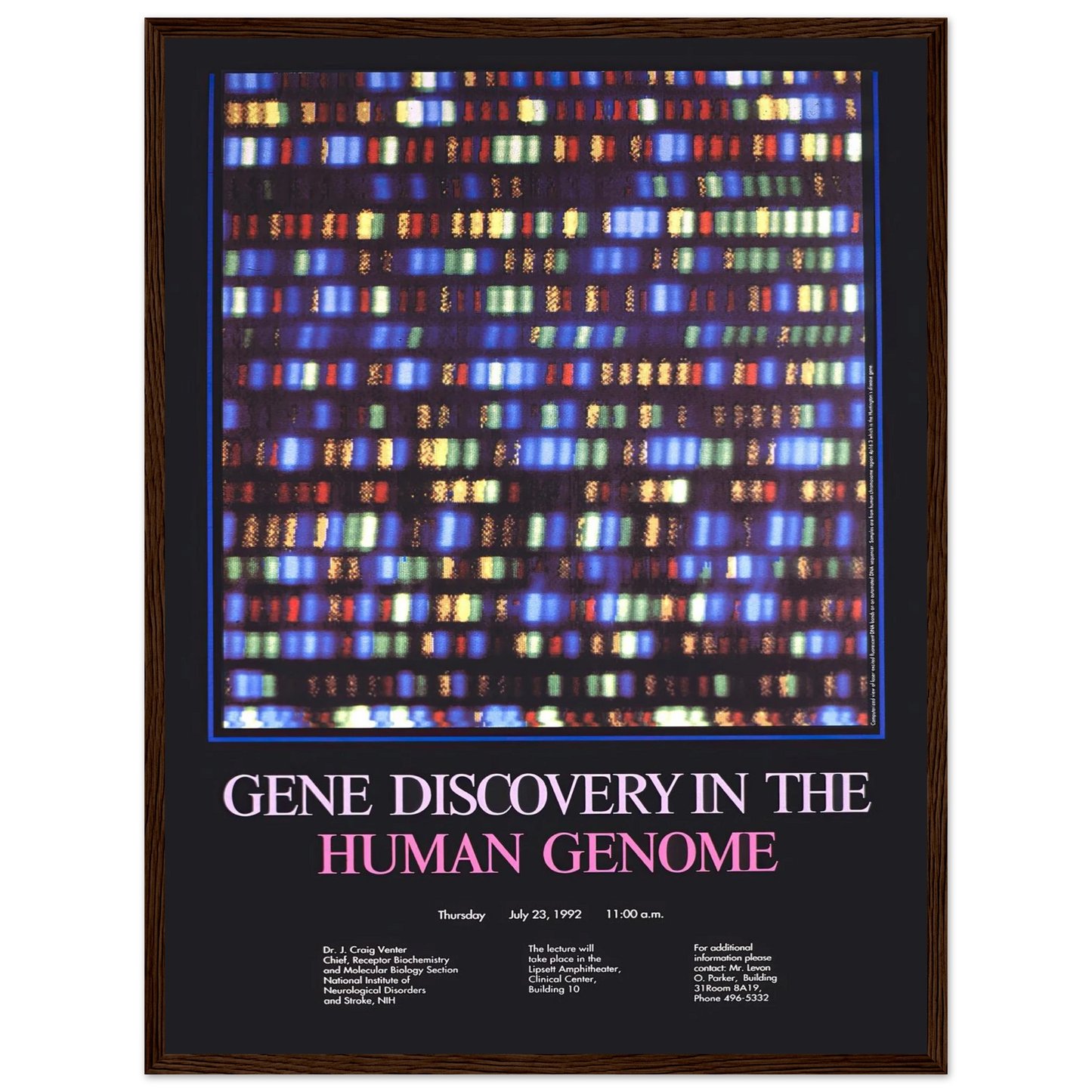 Gene discovery in the human genome (1992) Art Print | National Institutes of Health - Framed Poster - 30x40 cm / 12x16″ - Black frame