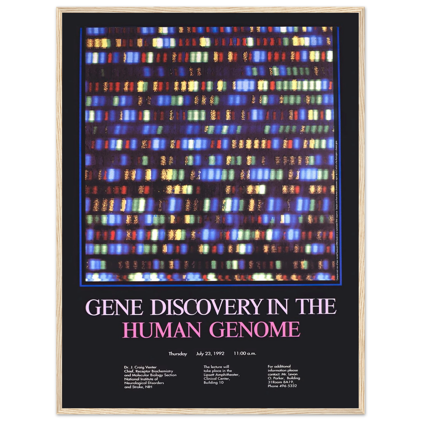 Gene discovery in the human genome (1992) Art Print | National Institutes of Health - Framed Poster - 30x40 cm / 12x16″ - Black frame