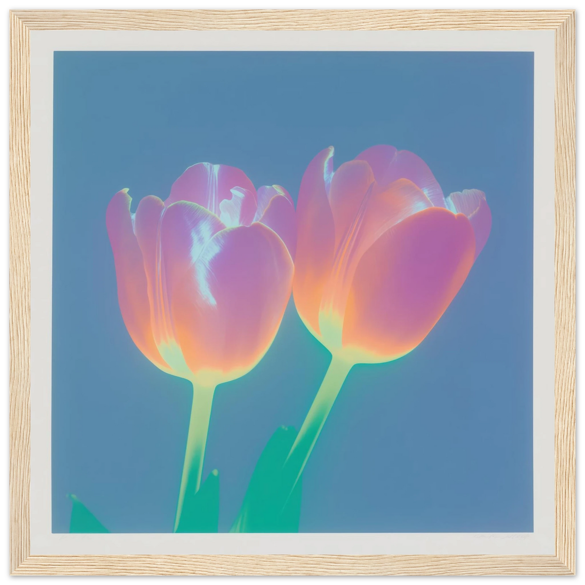 Iridescent Tulips - Framed Poster - 30x30 cm / 12x12″ - Black frame