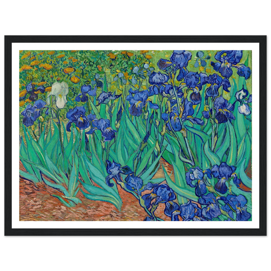 Irises (1889) Art Print | Vincent van Gogh - Framed Poster - 30x40 cm / 12x16″ - Black frame