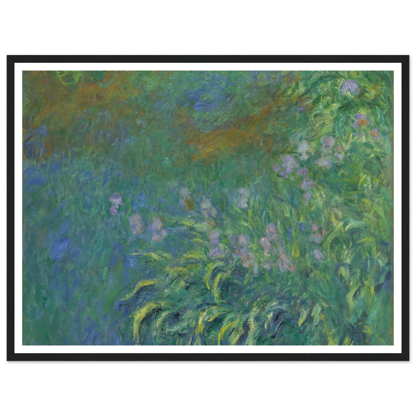 Irises (1914-17) Art Print | Claude Monet - Framed Poster - 30x40 cm / 12x16″ - Black frame