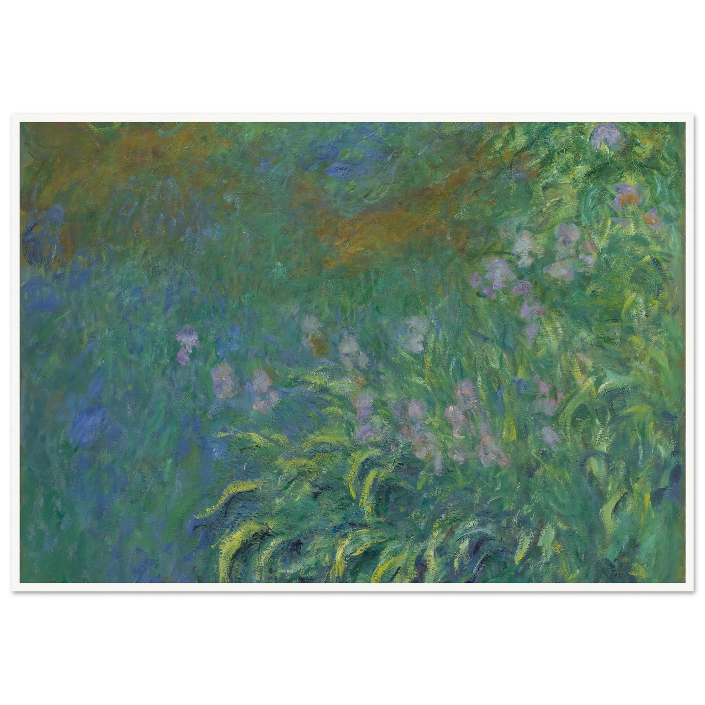 Irises (1914-17) Art Print | Claude Monet - Framed Poster - 30x40 cm / 12x16″ - Black frame