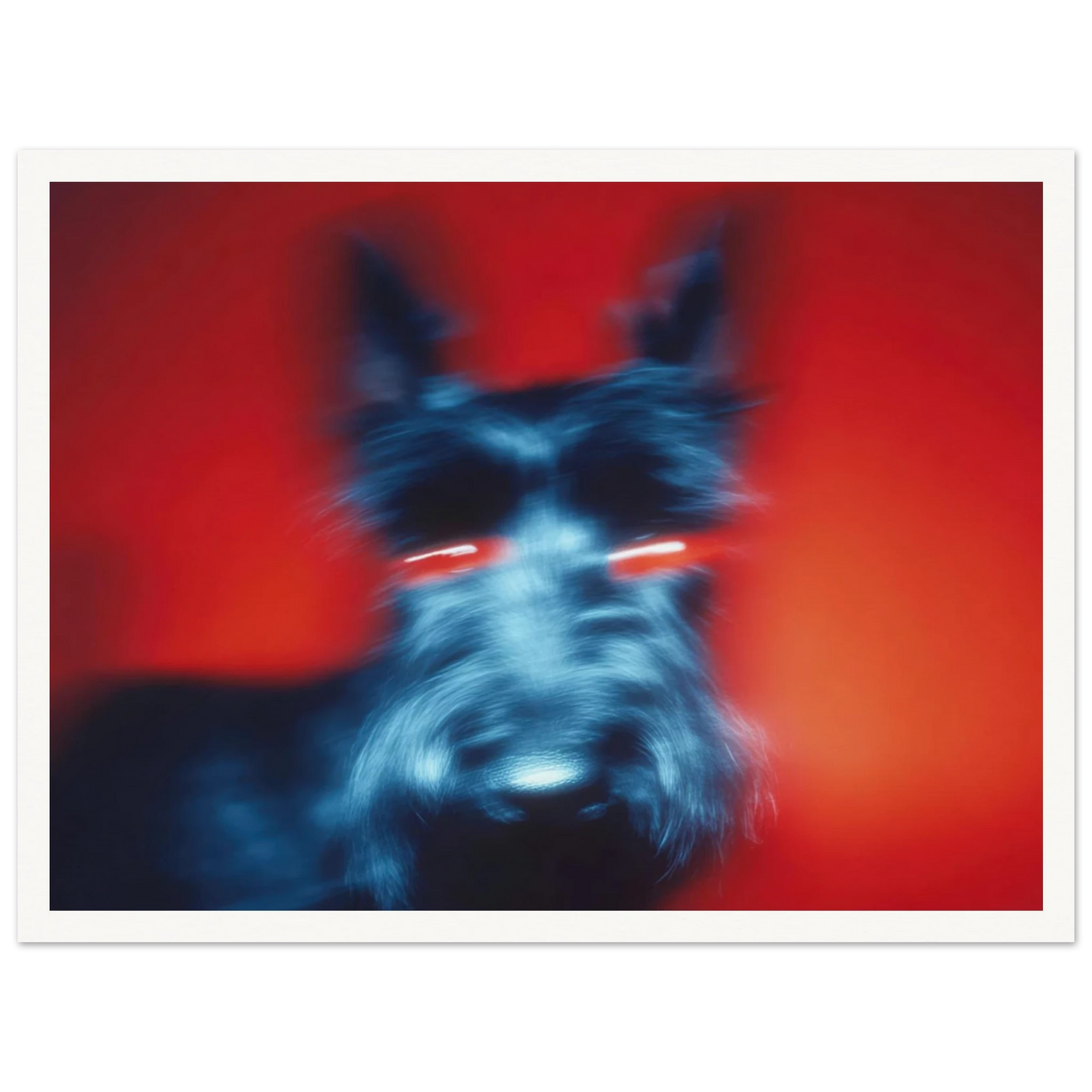 Kirlian Aura of the Scot - Framed Poster - 30x40 cm / 12x16″ - Black frame