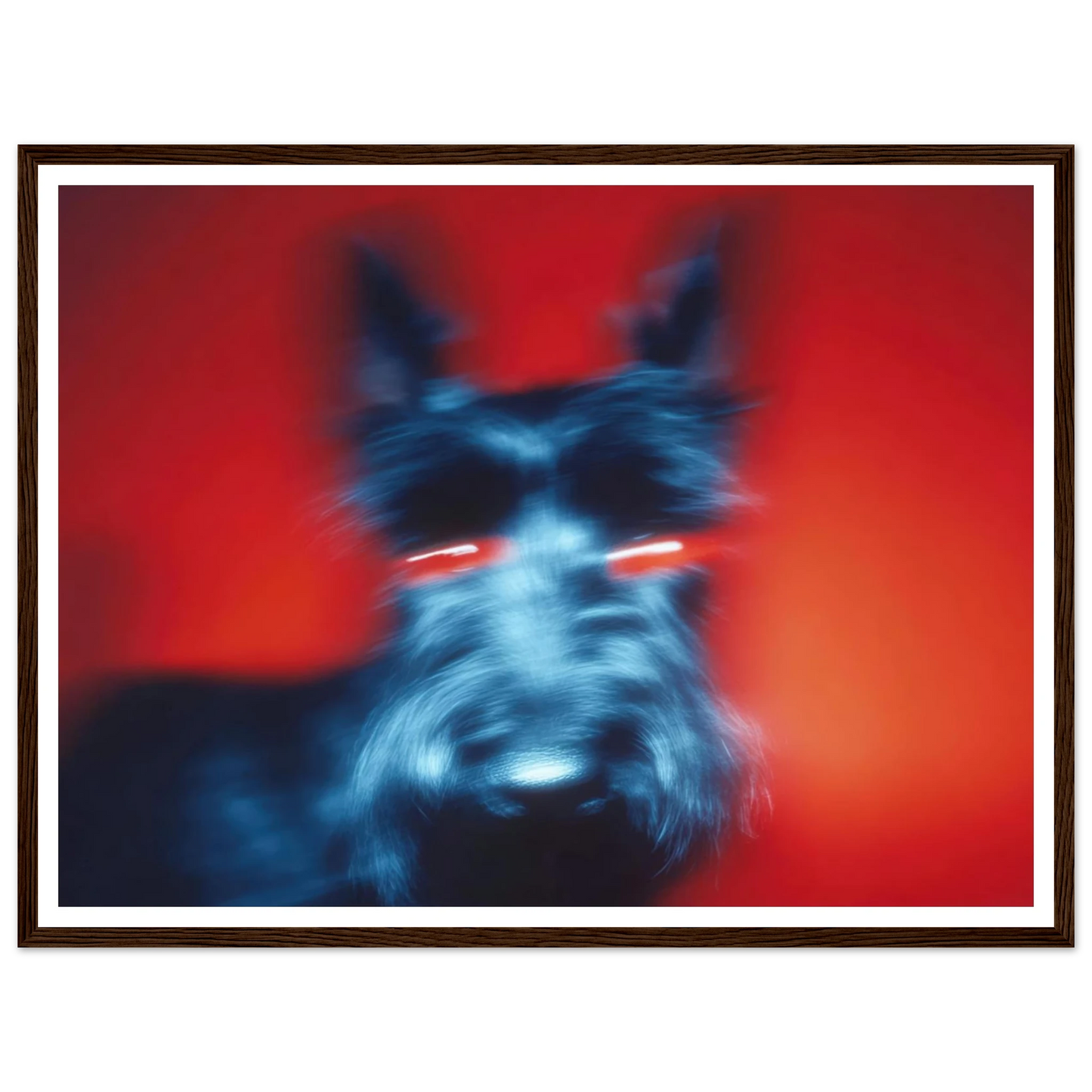 Kirlian Aura of the Scot - Framed Poster - 30x40 cm / 12x16″ - Black frame