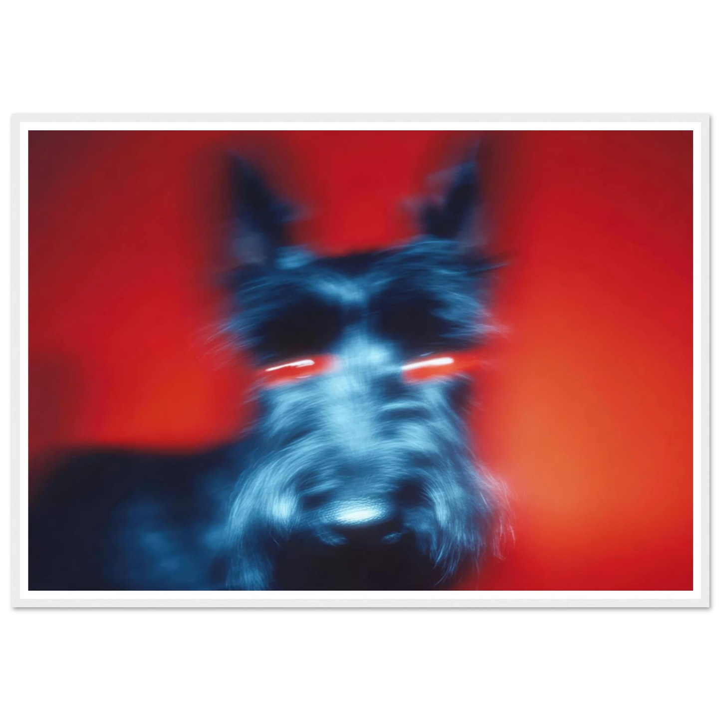 Kirlian Aura of the Scot - Framed Poster - 30x40 cm / 12x16″ - Black frame