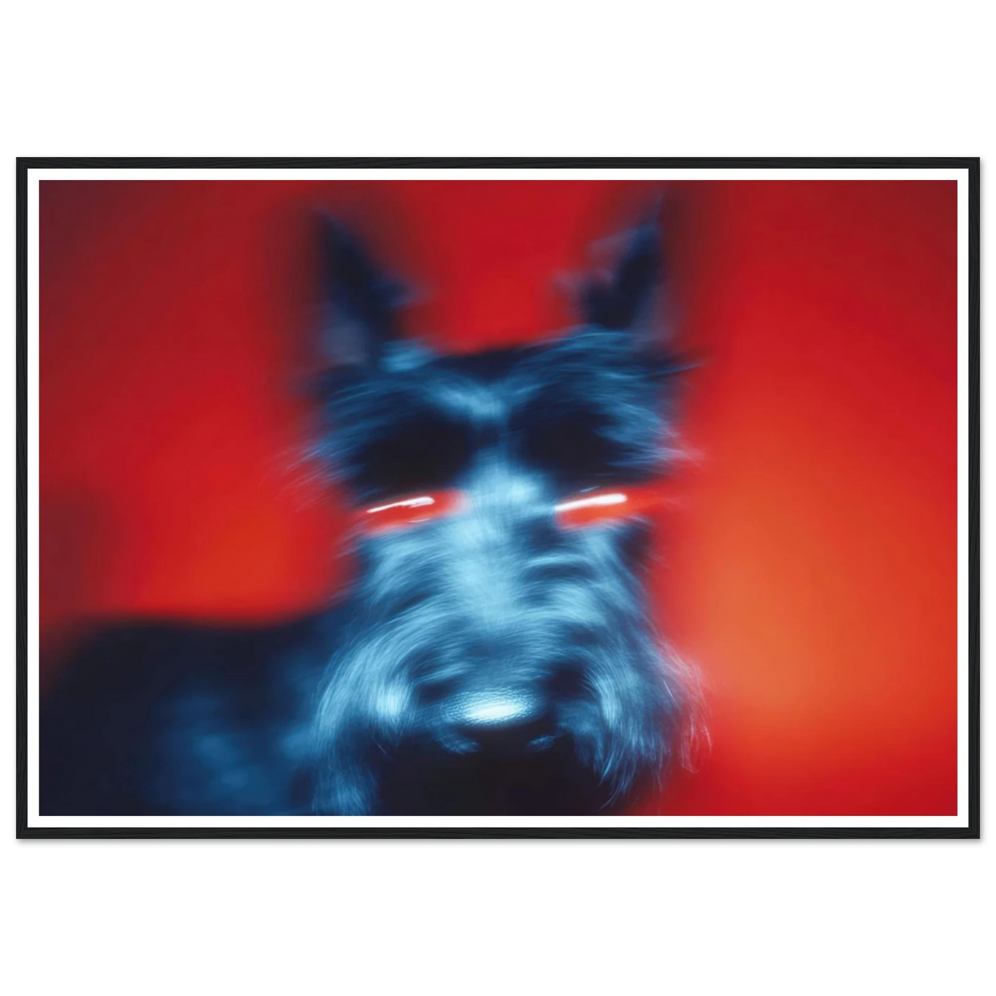 Kirlian Aura of the Scot - Framed Poster - 30x40 cm / 12x16″ - Black frame