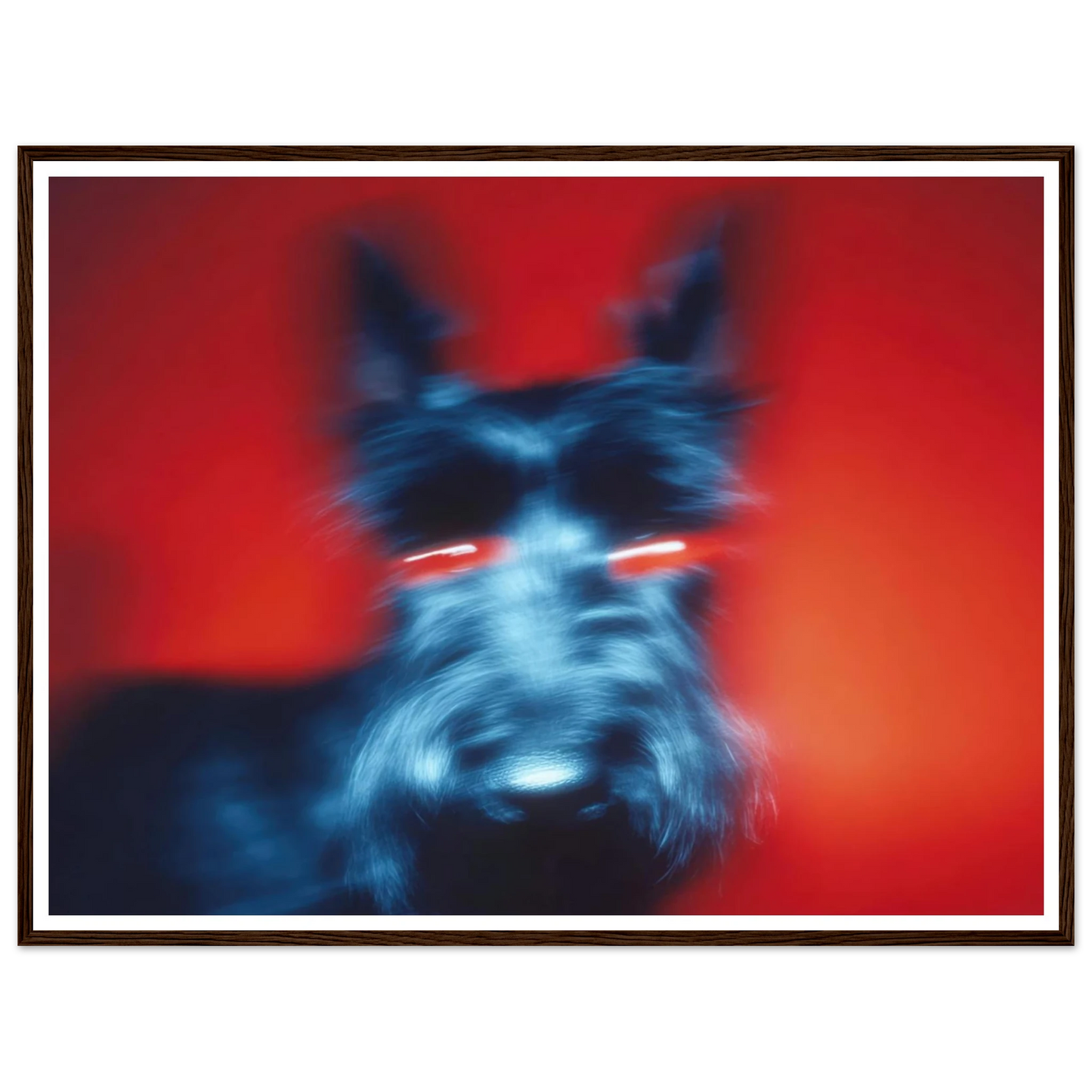 Kirlian Aura of the Scot - Framed Poster - 30x40 cm / 12x16″ - Black frame