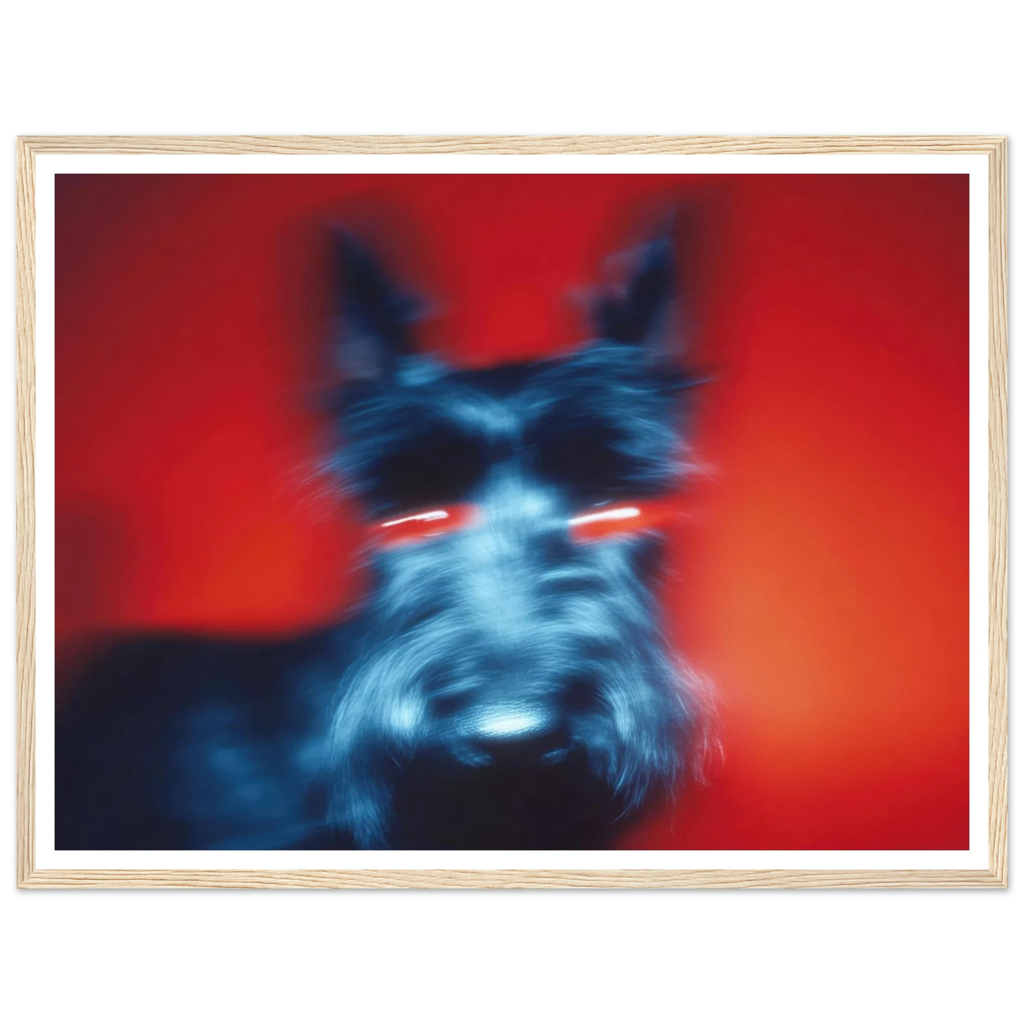 Kirlian Aura of the Scot - Framed Poster - 30x40 cm / 12x16″ - Black frame