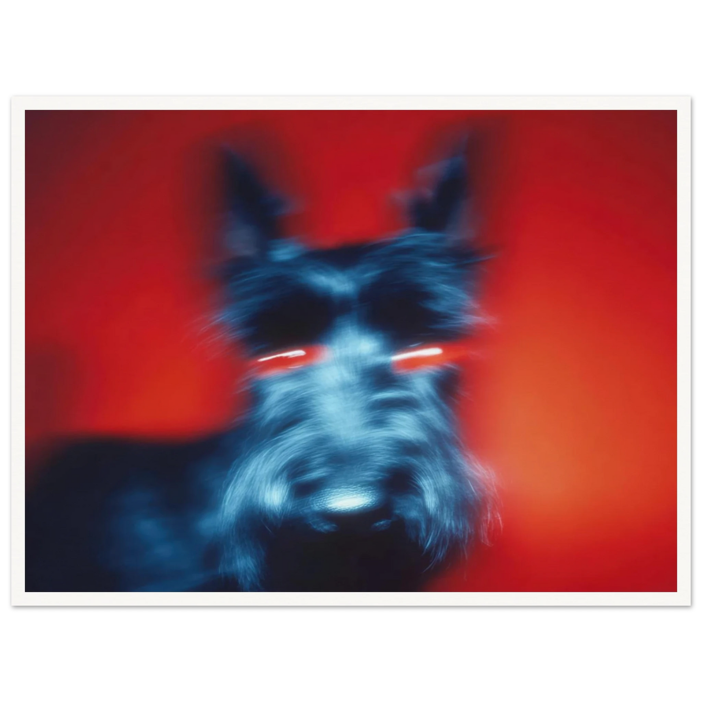 Kirlian Aura of the Scot - Framed Poster - 30x40 cm / 12x16″ - Black frame