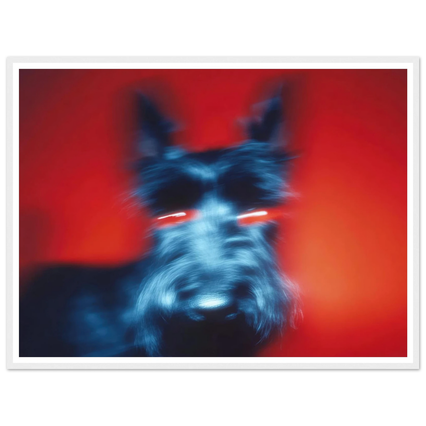 Kirlian Aura of the Scot - Framed Poster - 30x40 cm / 12x16″ - Black frame