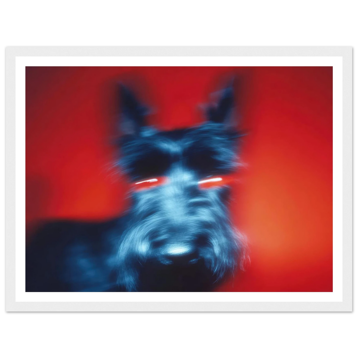 Kirlian Aura of the Scot - Framed Poster - 30x40 cm / 12x16″ - Black frame