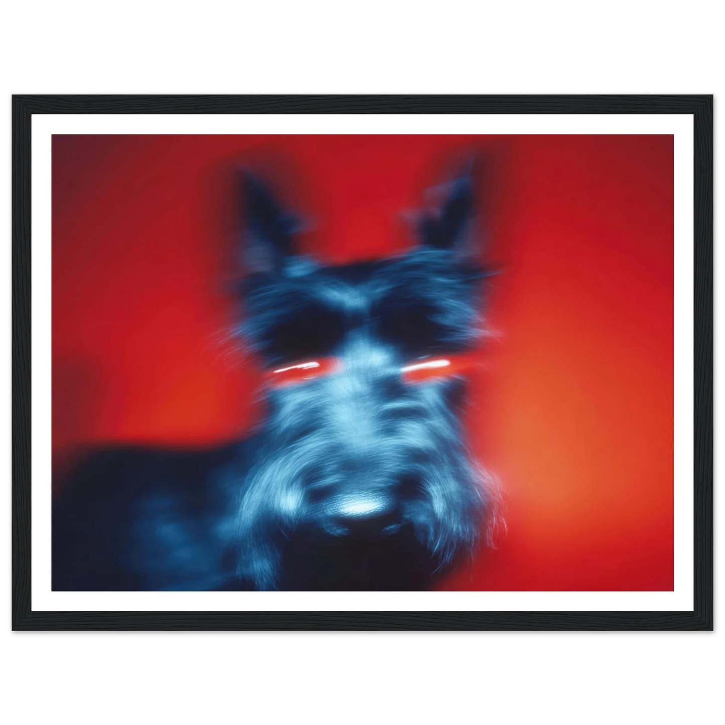 Kirlian Aura of the Scot - Framed Poster - 30x40 cm / 12x16″ - Black frame