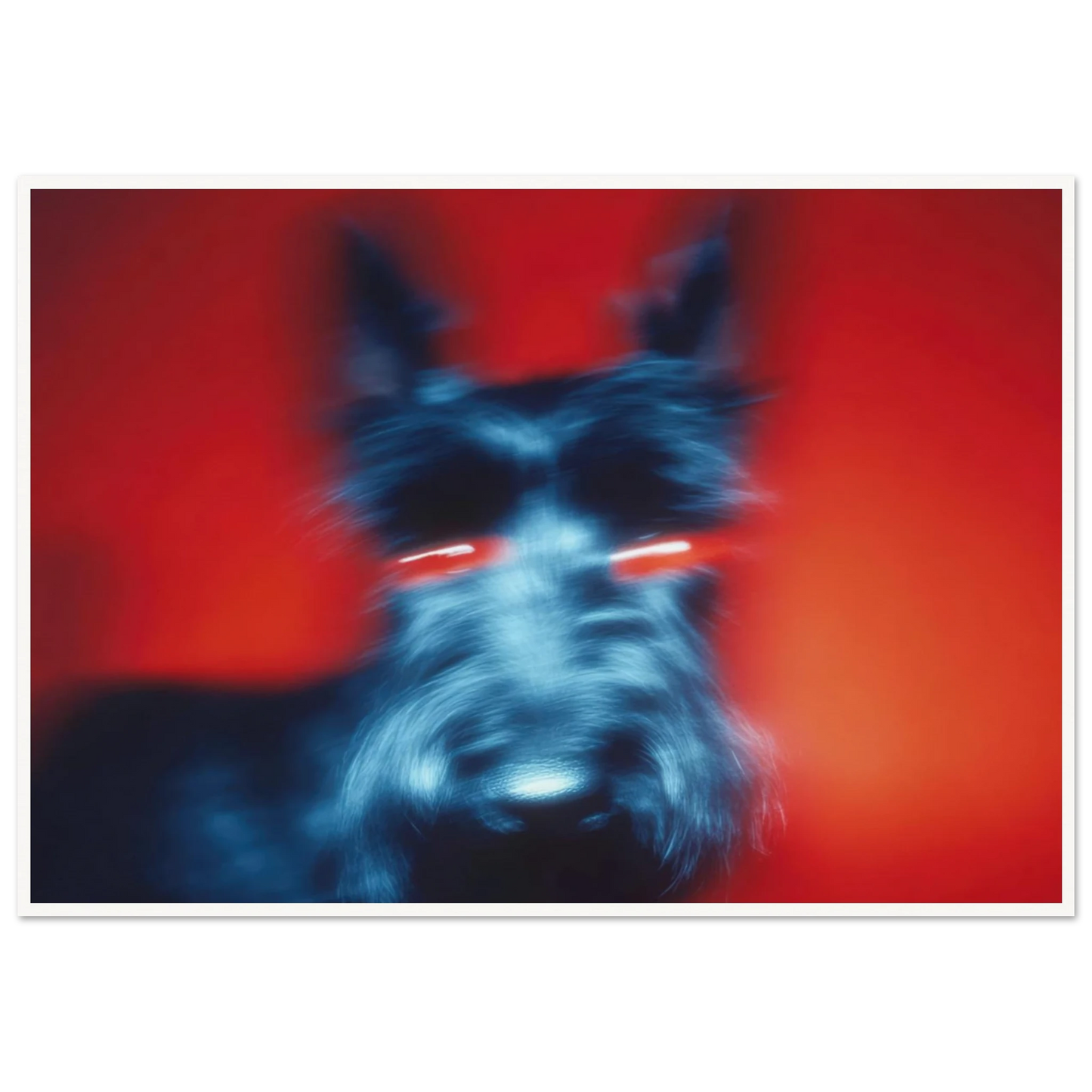 Kirlian Aura of the Scot - Framed Poster - 30x40 cm / 12x16″ - Black frame