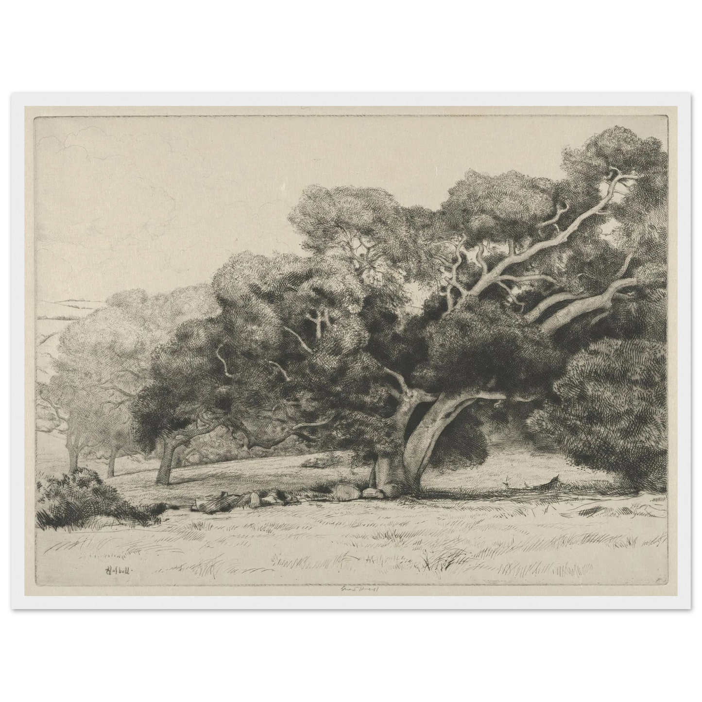 Large Live Oak (1915-1925) Art Print | Ernest Haskell - Framed Poster - 30x40 cm / 12x16″ - Black frame