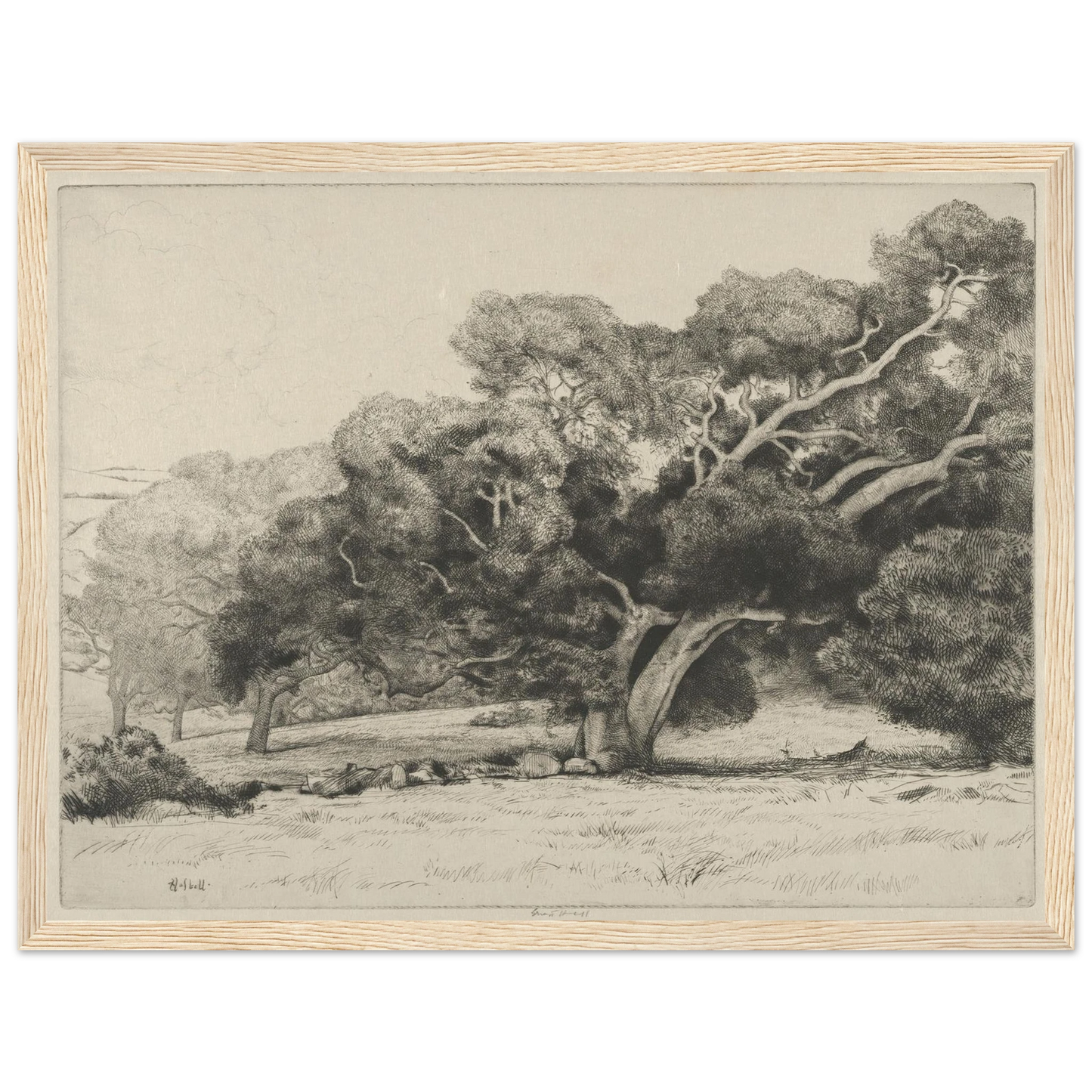 Large Live Oak (1915-1925) Art Print | Ernest Haskell - Framed Poster - 30x40 cm / 12x16″ - Black frame
