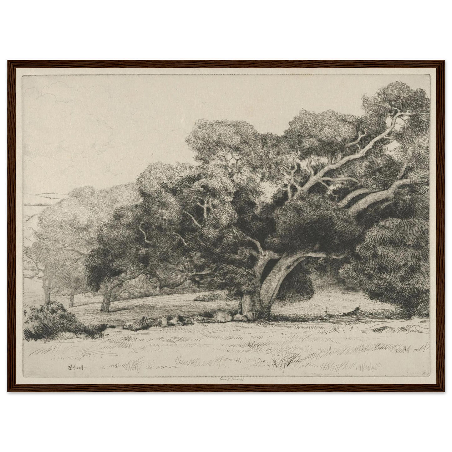 Large Live Oak (1915-1925) Art Print | Ernest Haskell - Framed Poster - 30x40 cm / 12x16″ - Black frame