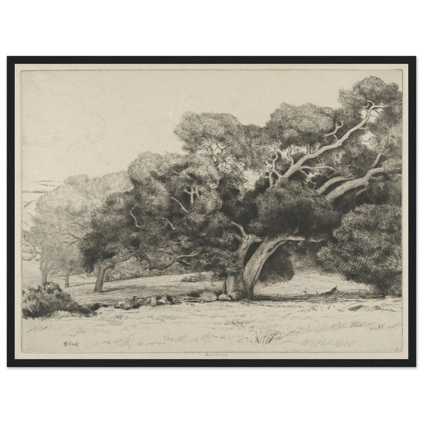 Large Live Oak (1915-1925) Art Print | Ernest Haskell - Framed Poster - 30x40 cm / 12x16″ - Black frame