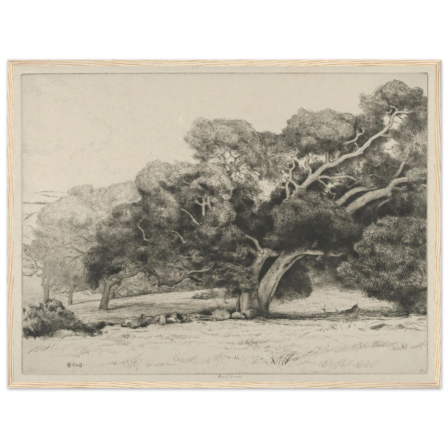 Large Live Oak (1915-1925) Art Print | Ernest Haskell - Framed Poster - 30x40 cm / 12x16″ - Black frame