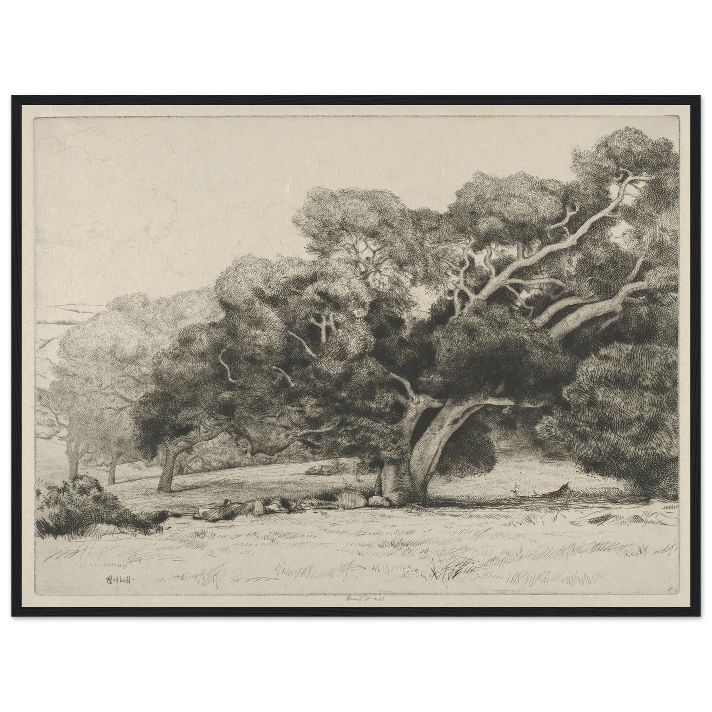 Large Live Oak (1915-1925) Art Print | Ernest Haskell - Framed Poster - 30x40 cm / 12x16″ - Black frame
