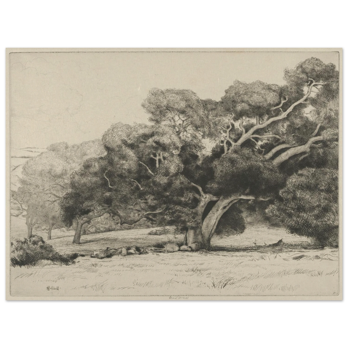 Large Live Oak (1915-1925) Art Print | Ernest Haskell - Framed Poster - 30x40 cm / 12x16″ - Black frame