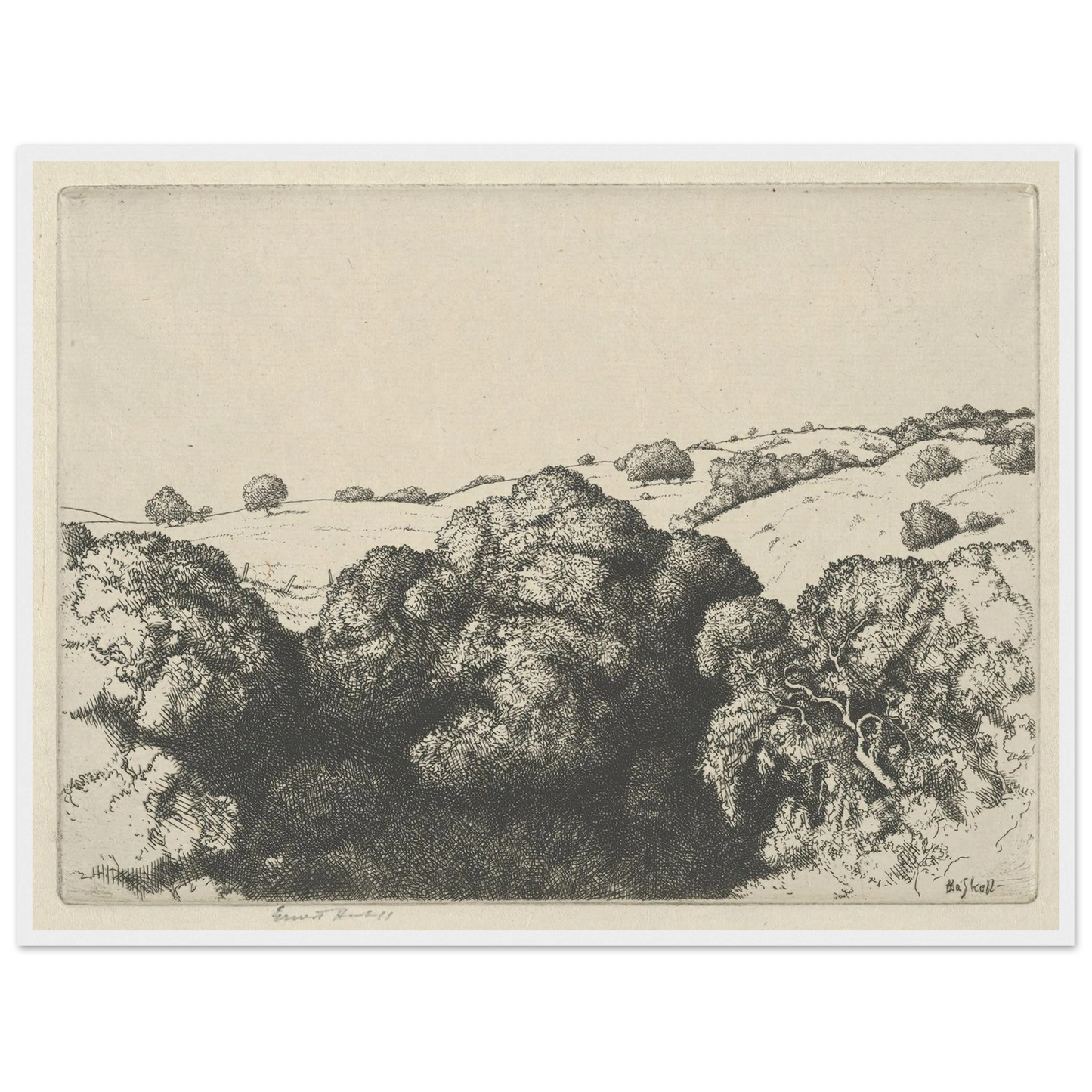 Live Oak Shadows (1900-1925) Art Print | Ernest Haskell - Framed Poster - 30x40 cm / 12x16″ - Black frame