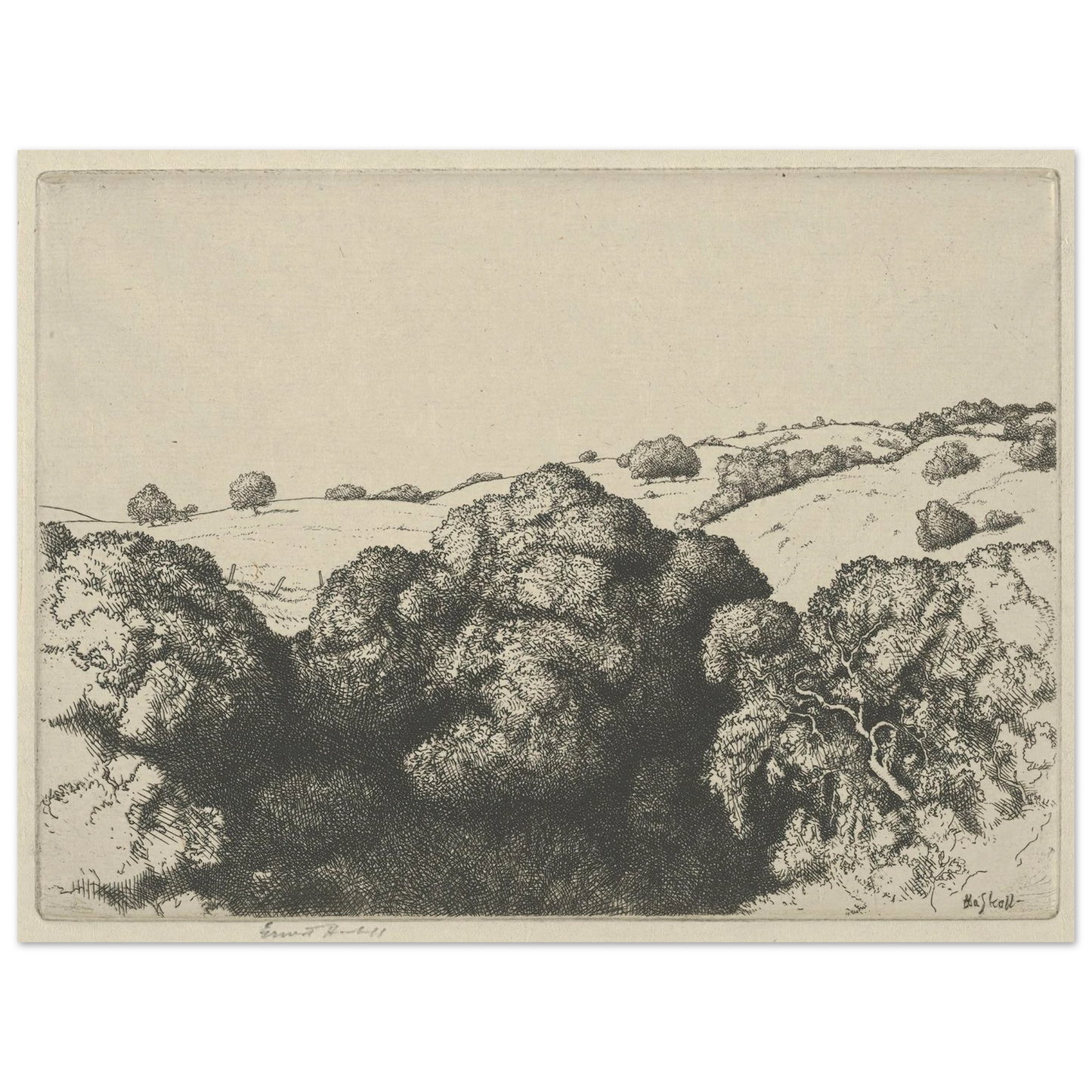 Live Oak Shadows (1900-1925) Art Print | Ernest Haskell - Framed Poster - 30x40 cm / 12x16″ - Black frame