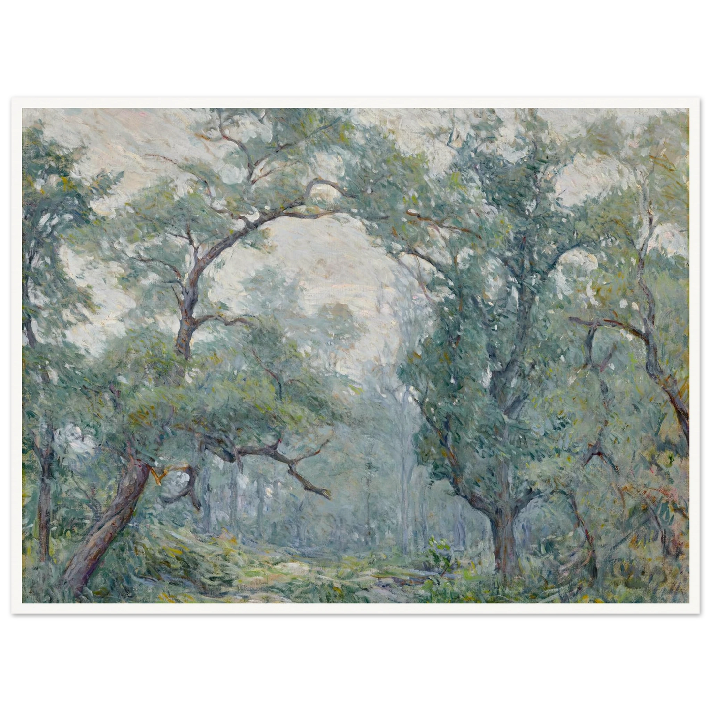 Old Willows Art Print | Robert Reid - Framed Poster - 30x40 cm / 12x16″ - Black frame